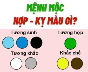 Mệnh Mộc hợp màu gì? Màu sắc may mắn, tài lộc cho Mệnh Mộc