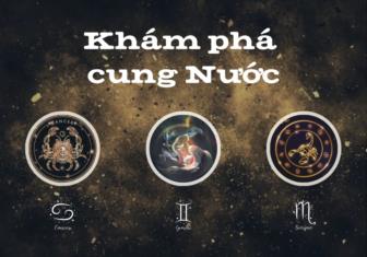 Cung Nước Gồm Cung Nào? Cự Giải, Bọ Cạp, Song Ngư