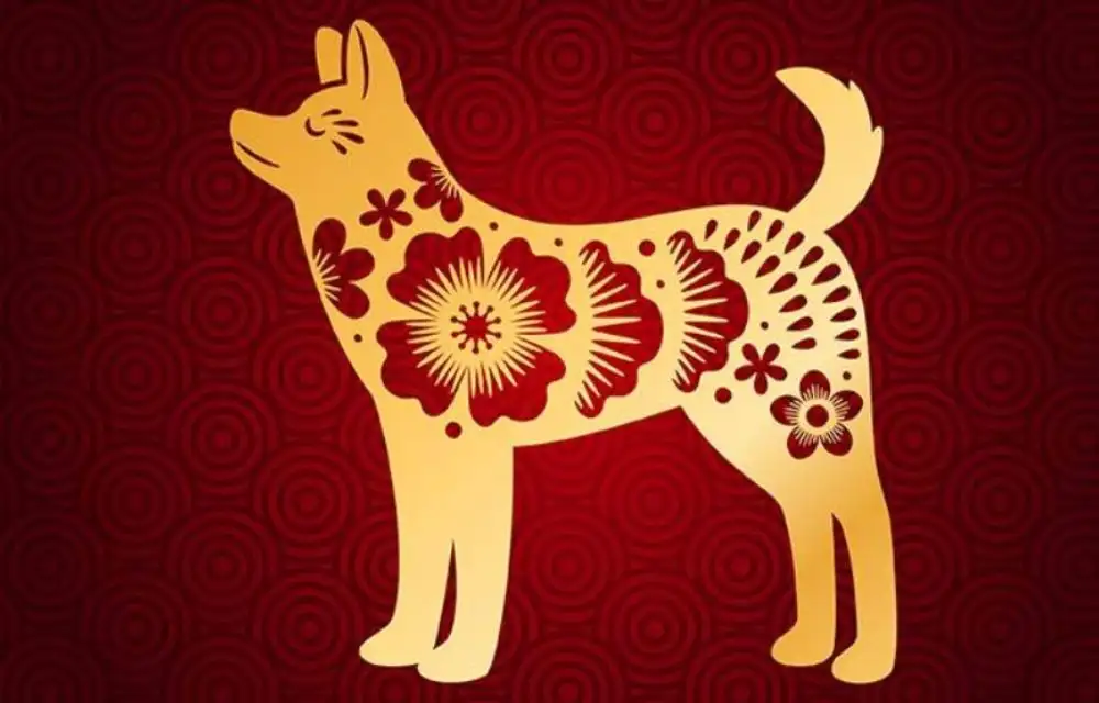 Tử Vi Tuổi Canh Tuất 1970 – Nam mạng