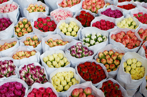 1-2984-1397951191-1 1-2984-1397951191