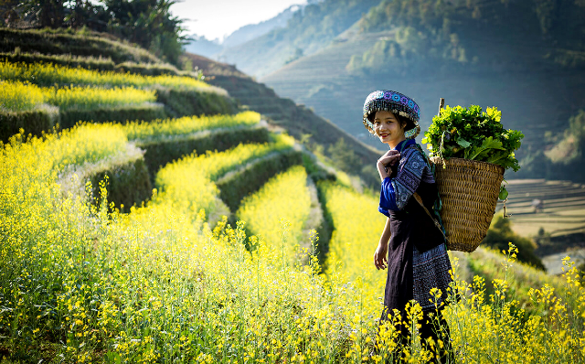 Những địa điểm du lịch Tây Bắc nổi tiếng nhất định phải đến trong đời