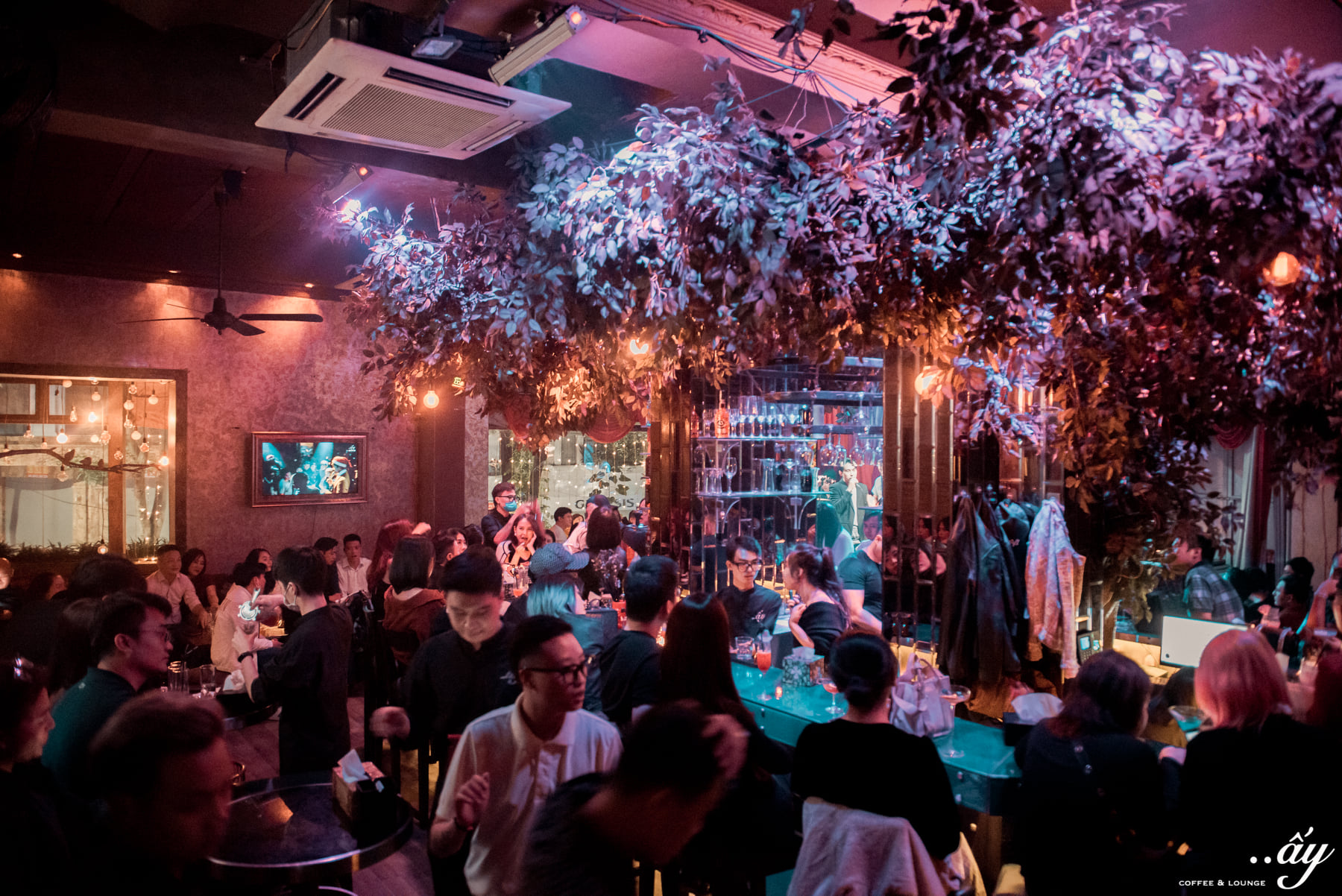 248549304-4445102232233413-4558267255598625564-n phòng trà ở hà nội ấy lounge