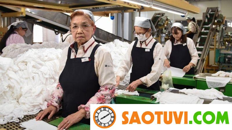 13+ việc làm cho người lớn tuổi thu nhập ổn định, an toàn việc làm cho người lớn tuổi