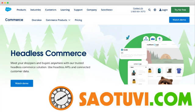 5-way-headless-commerce-3-1 headless-commerce