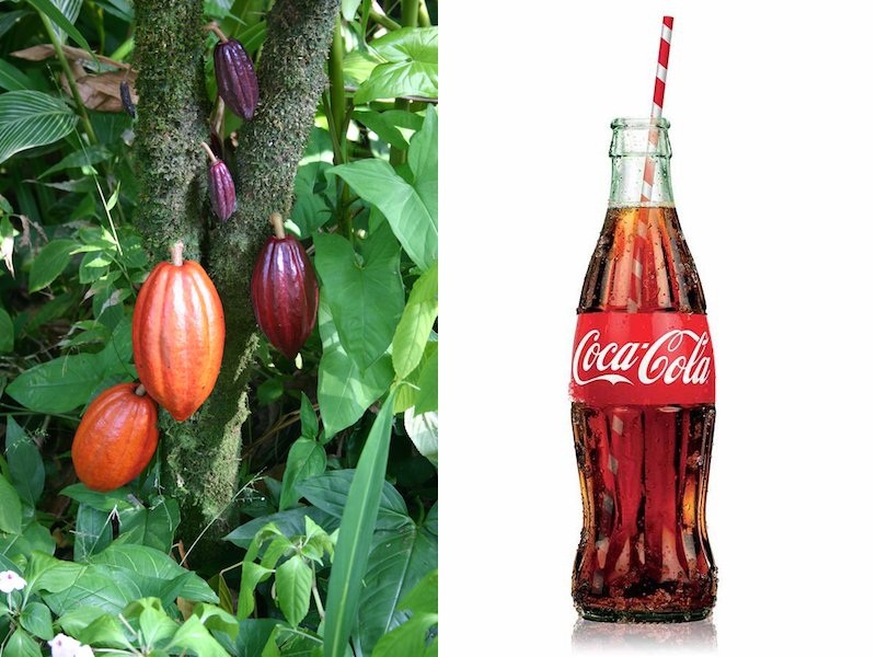 7 lý do giúp gã khổng lồ Cocacola giữ chắc “ngai vàng”6