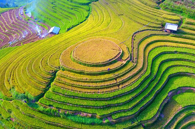 Kinh nghiệm từ A – Z cho người lần đầu du lịch mùa vàng Mù Cang Chải