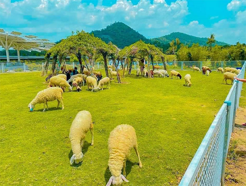 an-hao-2-min Vườn thú tại khu du lịch Điện mặt trời An Hảo
