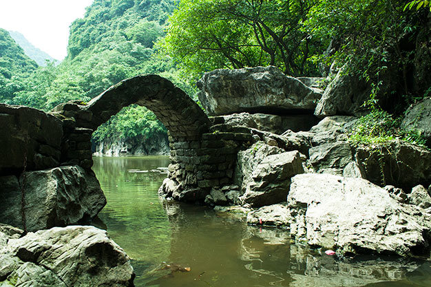 ao-dong-hang-luon-5 ao dong