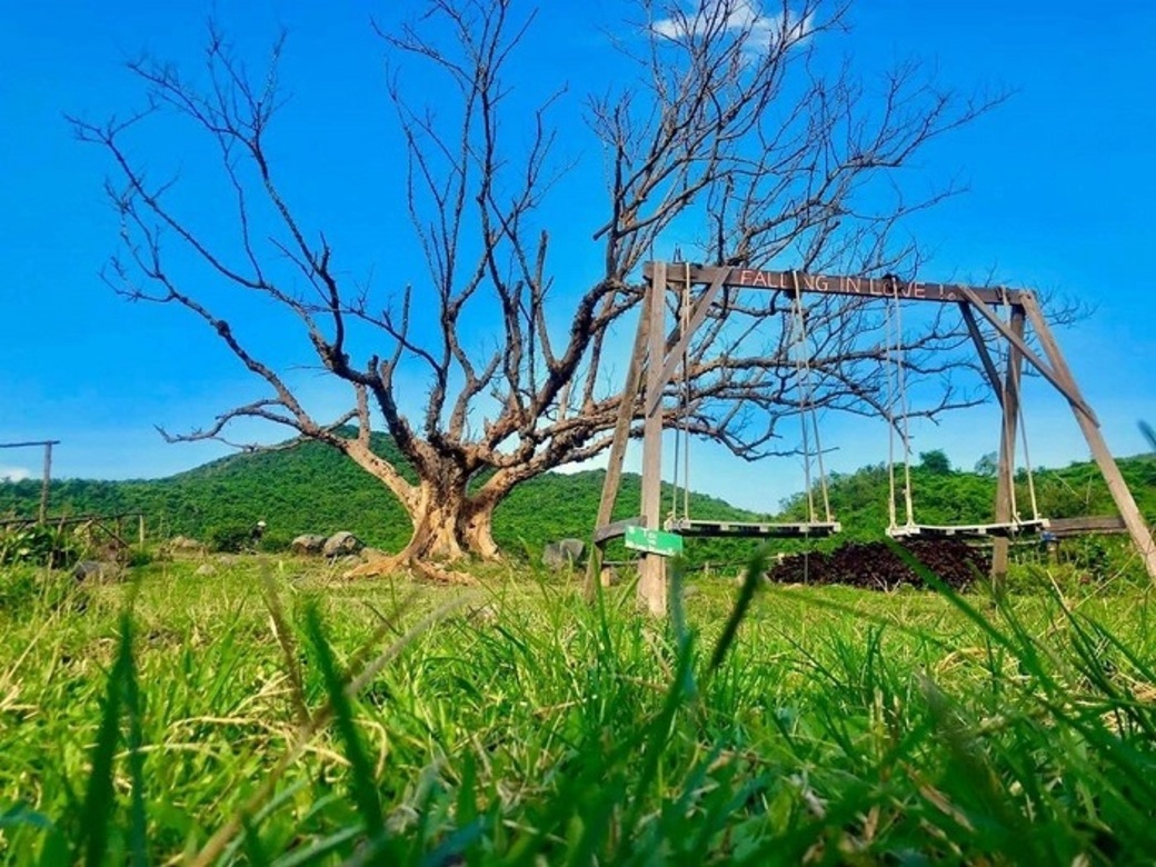 b26u-farm-3 cảnh sắc thiên nhiên tại b&u farm