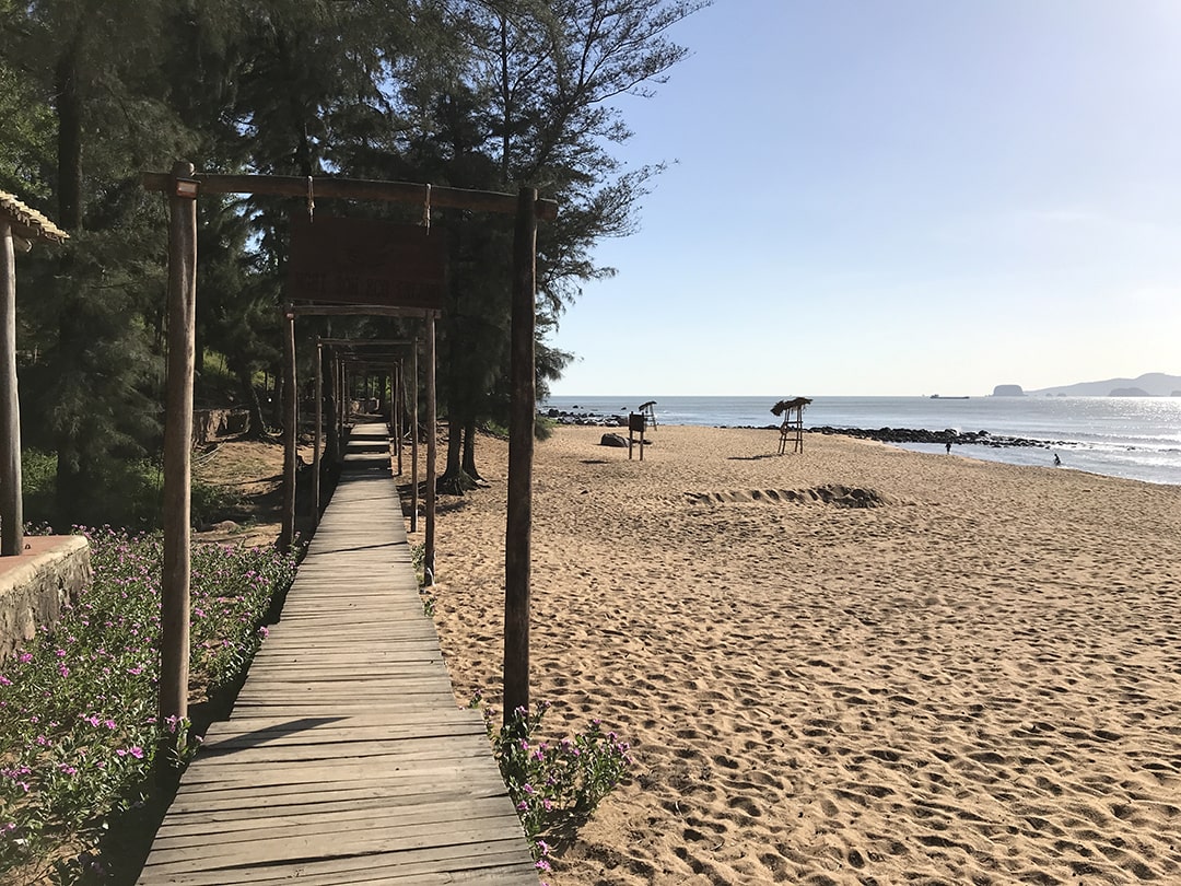 bai-dong-thanh-hoa-1-min tham quan bãi đông thanh hóa mùa đẹp nhất