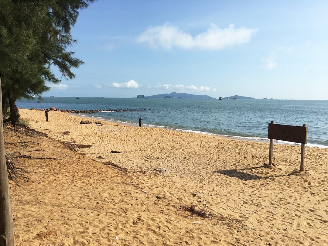 bai-dong-thanh-hoa-3-min-1 bãi đông thanh hóa
