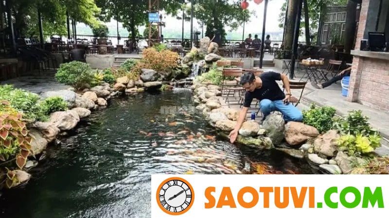 20+ Mẫu bản vẽ thiết kế quán cà phê sân vườn đẹp và độc đáo Không gian quán cà phê sân vườn cá KOI thoáng mát - Nguồn ảnh: Sưu tầm