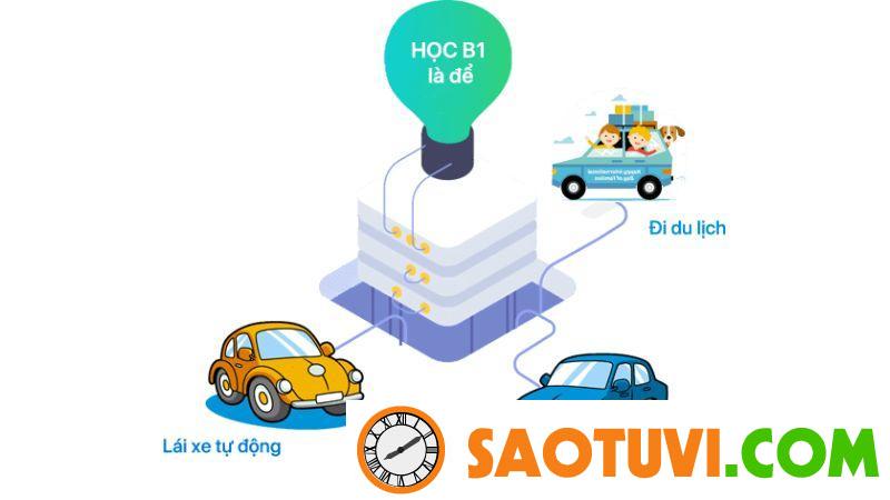 Bằng B1 lái xe gì? Học phí và lệ phí thi bằng lái xe B1 Có nên học bằng lái xe B1 không?