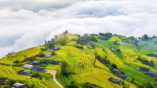 banphung-1