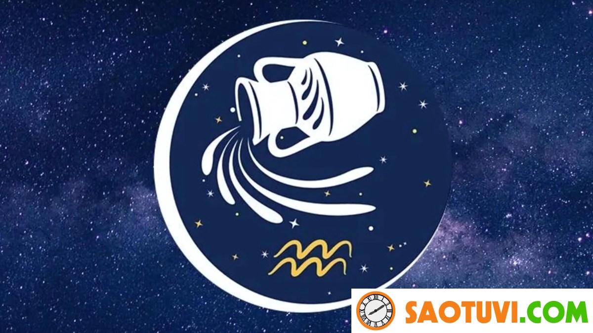 Bảo Bình Hợp Với Cung Nào Trong Tình Yêu, Tình Bạn Và Sự Nghiệp?
