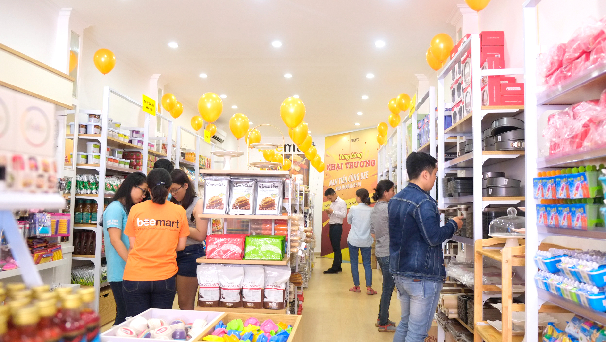 bee 500 triệu nên đầu tư kinh doanh gì