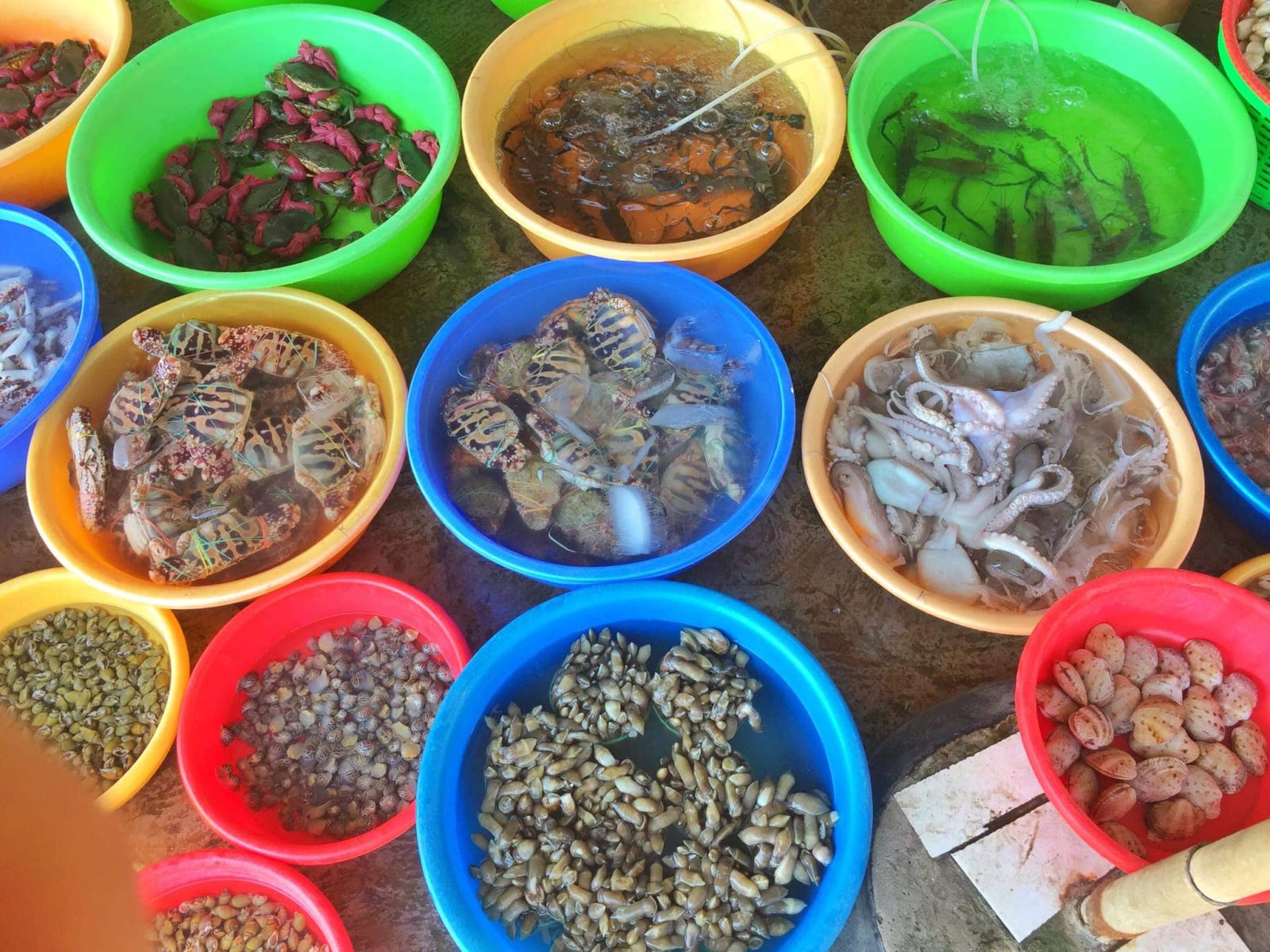 bien-tan-thanh-go-cong-5-min hải sản tươi ngon tại biển tân thành gò công