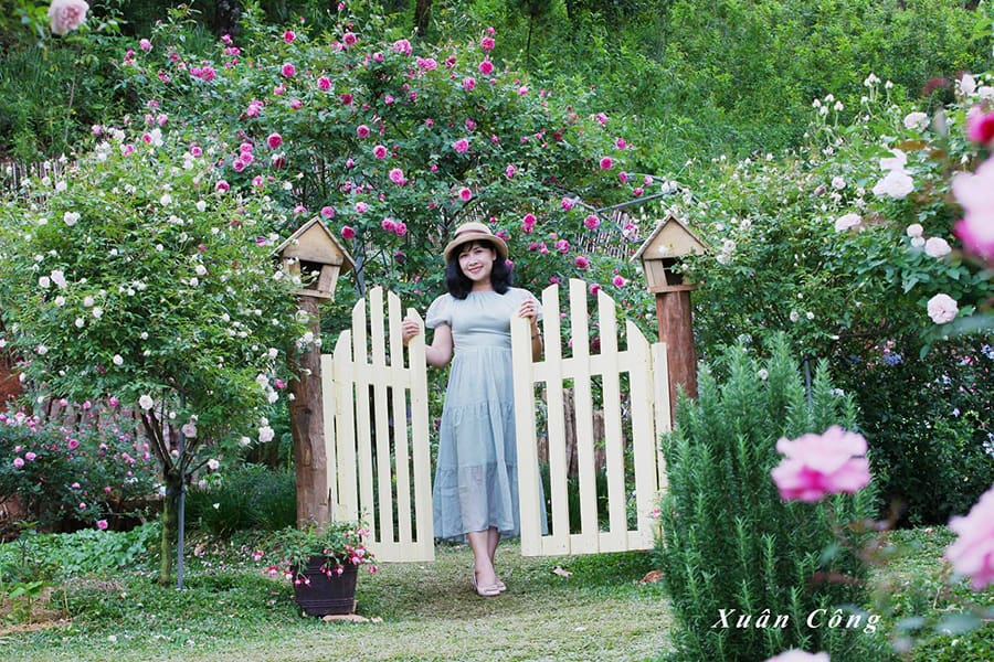 buoc-chan-vao-rose-garden-du-khach-se-khong-no-roi-di-min địa chỉ cao nguyên hoa đà lạt