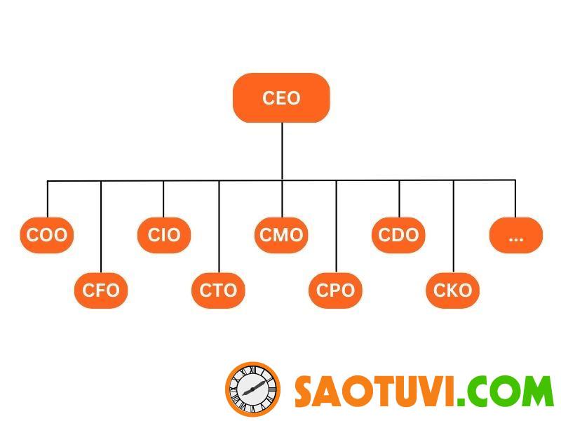 CEO nắm giữ vai trò chủ chốt trong hoạt động của một hệ thống quản lý