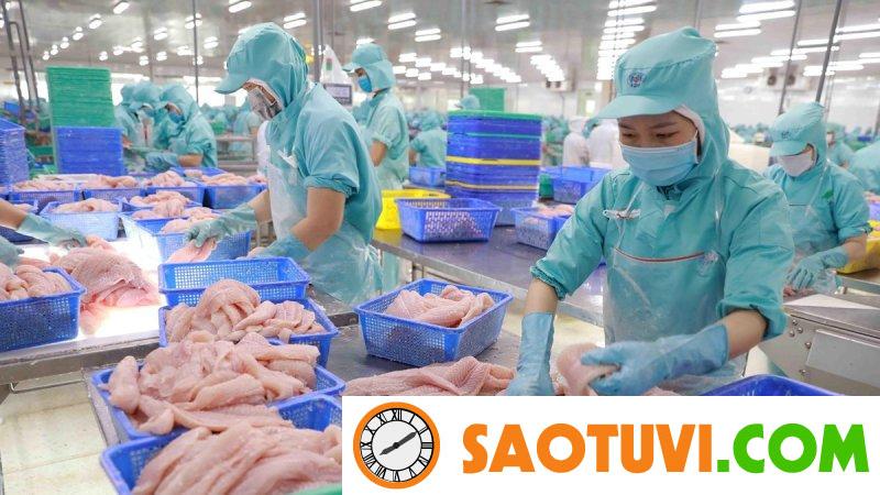 Công nghiệp là gì? Các ngành công nghiệp có xu hướng phát triển trong tương lai Ngành chế biến lương thực thực phẩm