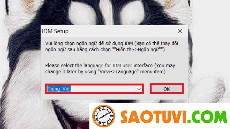 Hướng dẫn cách crack IDM vĩnh viễn cho mọi phiên bản Lựa chọn ngôn ngữ sử dụng cho IDM