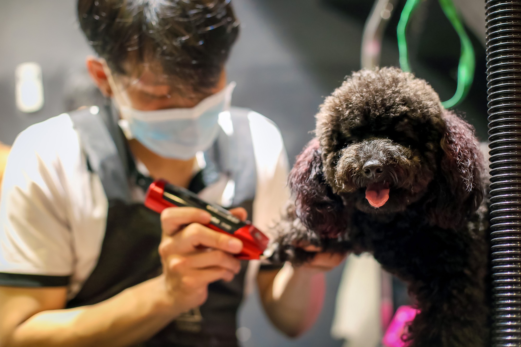 cach-kiem-tien-tai-nha-2 cách kiếm tiền tại nhà