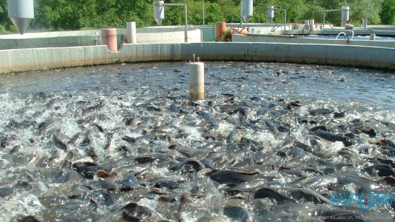 cach-lam-giau-o-nong-thon4 cách làm giàu ở nông thôn