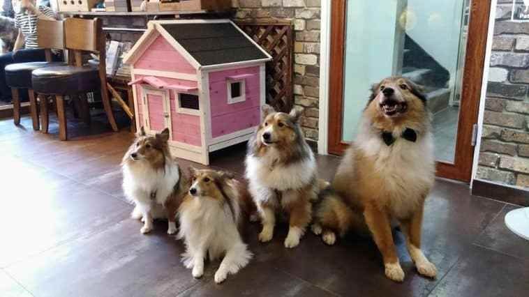 cach-lam-giau-o-nong-thon5 cách làm giàu ở nông thôn