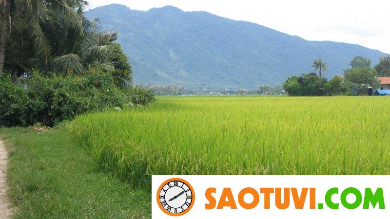 Cách tính diện tích đất ruộng chính xác nhất và những lưu ý Những loại giấy tờ trong thủ tục đăng ký biến động đất đai