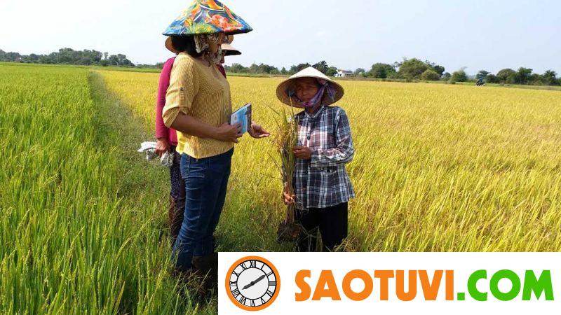 Cách tính diện tích đất ruộng chính xác nhất và những lưu ý Mục đích của việc tìm cách tính diện tích đất ruộng