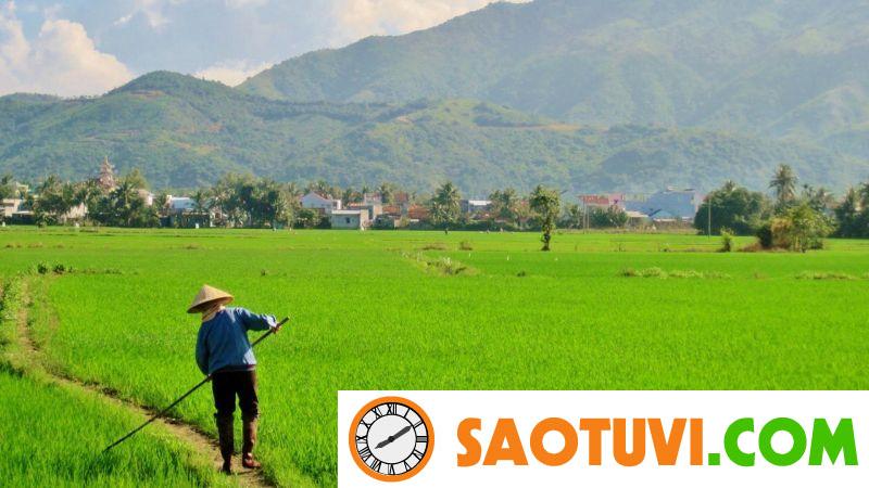 Cách tính diện tích đất ruộng chính xác nhất và những lưu ý Cách tính diện tích đất ruộng - Đo chiều dài mảnh đất