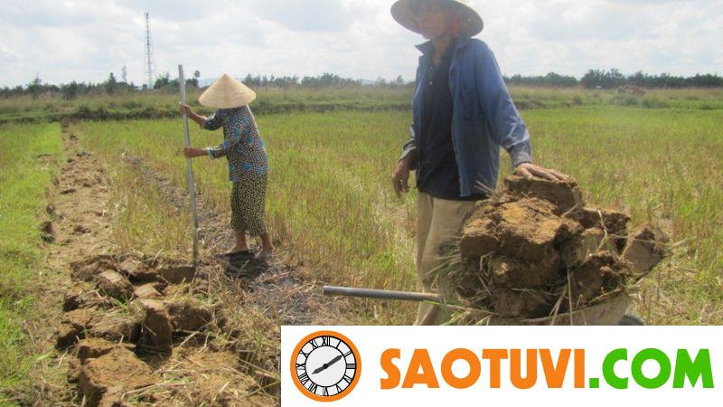Cách tính diện tích đất ruộng chính xác nhất và những lưu ý Quy định về đăng ký biến động đất đai