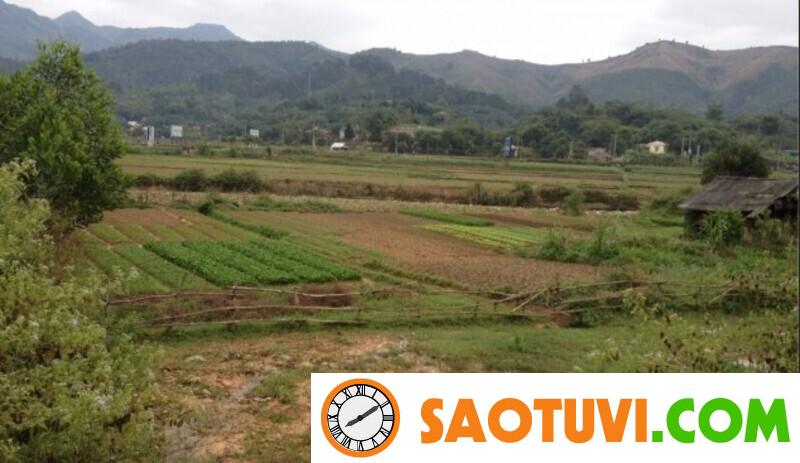Hướng dẫn cách tính tiền thuê đất 50 năm chuẩn nhất 2023 Tiền thuê đất là gì? Đất 50 năm là gì? Cách tính tiền thuê đất 50 năm?