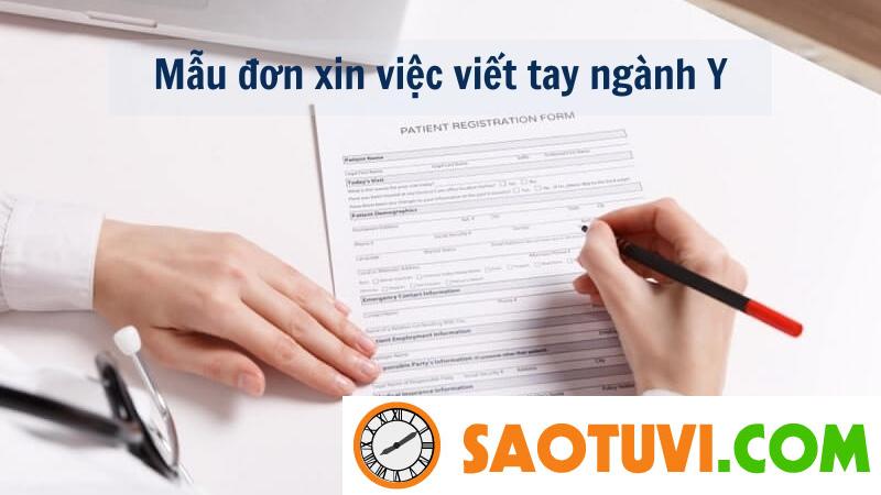 Cách viết hồ sơ xin việc bằng tay chi tiết nhất Mẫu đơn xin việc viết tay ngành Y