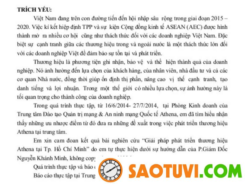 Cách viết trích yếu cho báo cáo chuyên nghiệp và chuẩn chỉnh Mẫu trích yếu báo cáo thực tập sư phạm tiểu học (Nguồn: tsgx.vn)