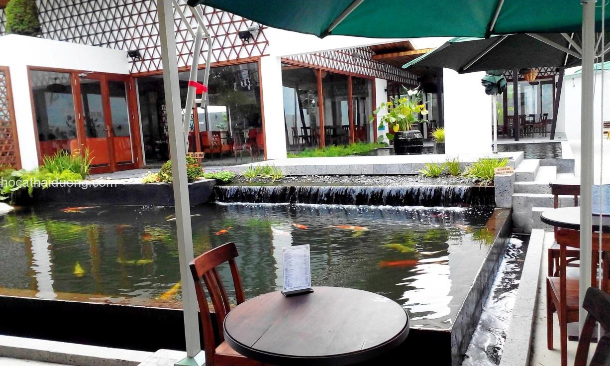 cafe-ca-koi-dd quán cafe cá Koi rộng lớn