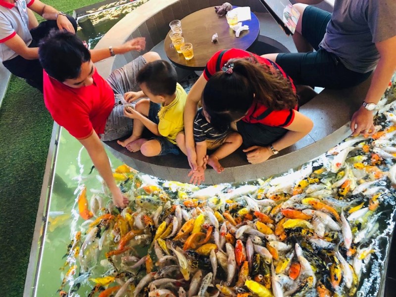 cafe-ca-koi-le-trong-tan cafe cá Koi lê trọng tấn