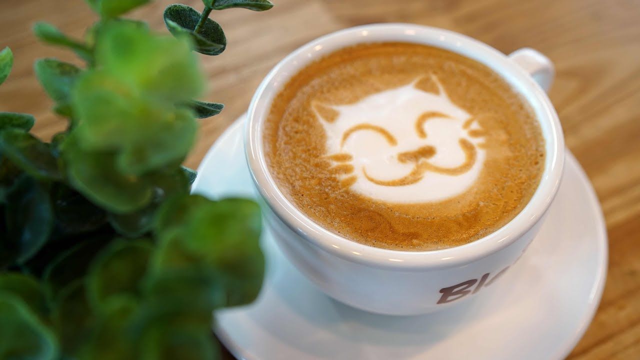 cafe-latte-art-meo một tách cafe latte đẹp mắt