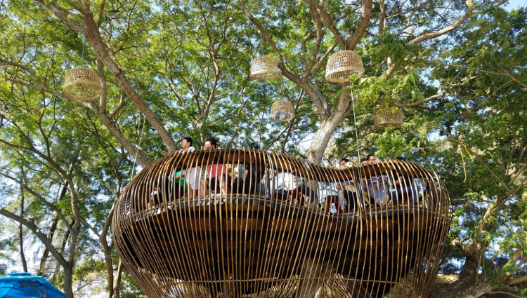 Mê mẩn với quán cafe trên cây Cần Thơ độc lạ đẹp quên lối về
