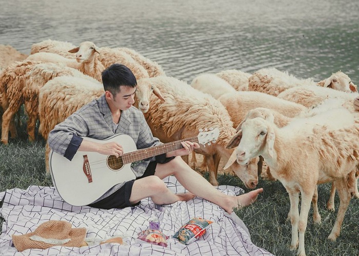 canh-dong-gia-hung-ninh-binh