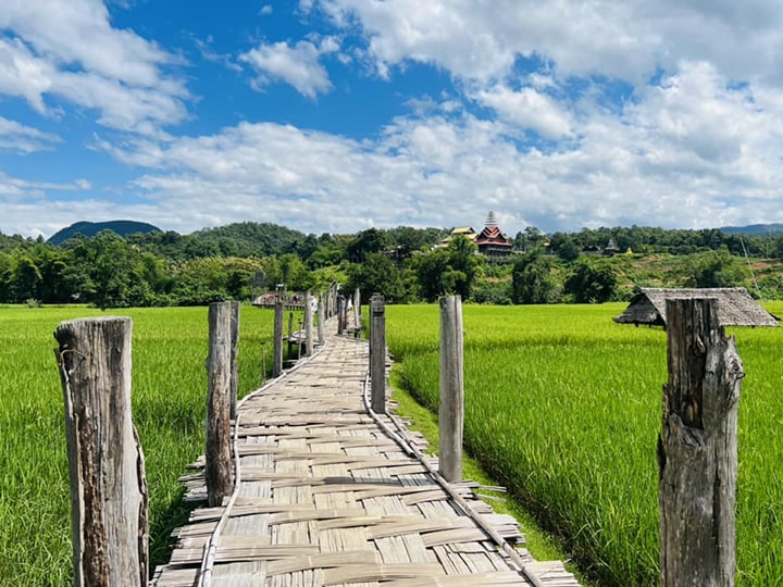 canh-dong-lua-bat-ngan-ve-dep-ay-giup-ta-tra-loi-cho-cau-thai-lan-noi-tieng-ve-cai-gi canh-dong-lua-bat-ngan-ve-dep-ay-giup-ta-tra-loi-cho-cau-thai-lan-noi-tieng-ve-cai-gi