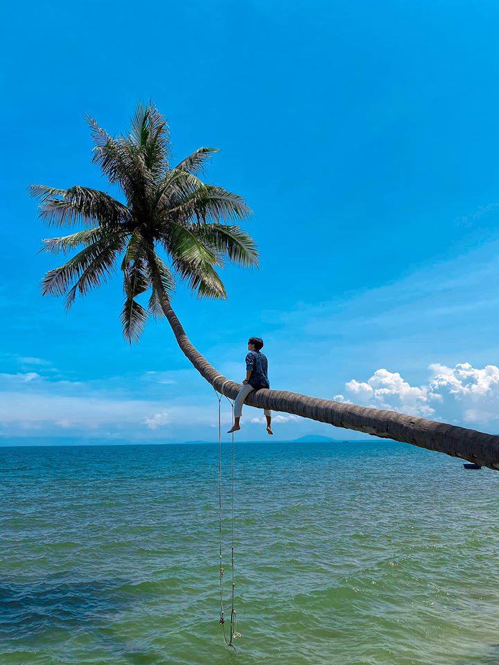 cay-dua-nghieng-mui-ne-6 tắm biển tại cây dừa nghiêng mũi né