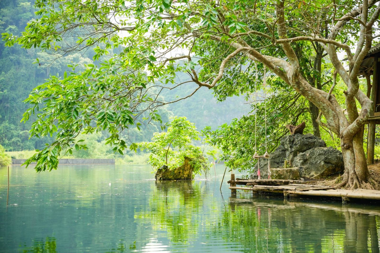 cay-phu-the-zoomtravel-1