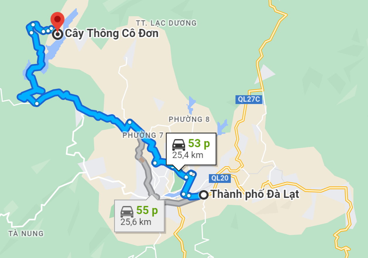 cay-thong-co-don-da-lat-2 đường đi đến cây thông cô đơn đà lạt