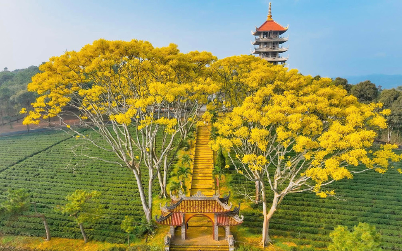 chua-dep-nhat-da-lat-noi-tieng Tu viện Bát Nhã nơi sở hữu tượng Quan Âm Bồ Tát màu nhiệm