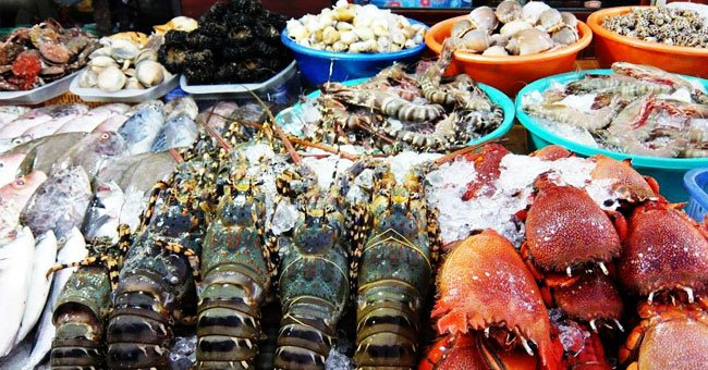 cua-hang-hai-san-tuoi-song cửa hàng hải sản tươi sống