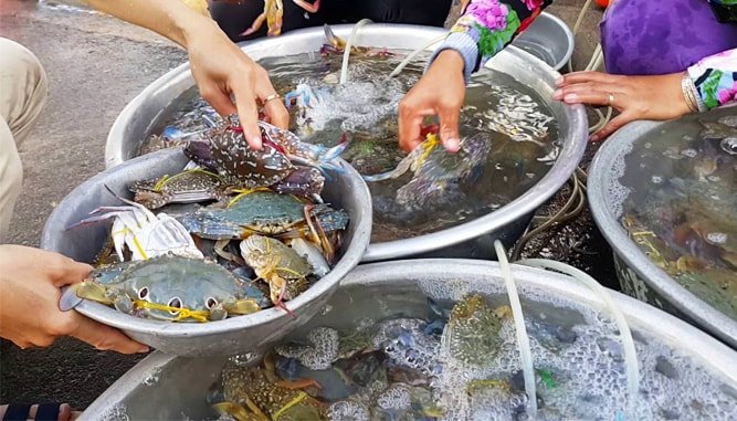 cua-hang-hai-san-tuoi-song3-1 cửa hàng hải sản tươi sống
