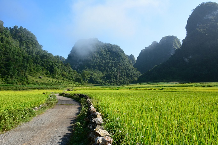 cung-duong-di-den-nui-mat-than cung đường đến núi mặt thần