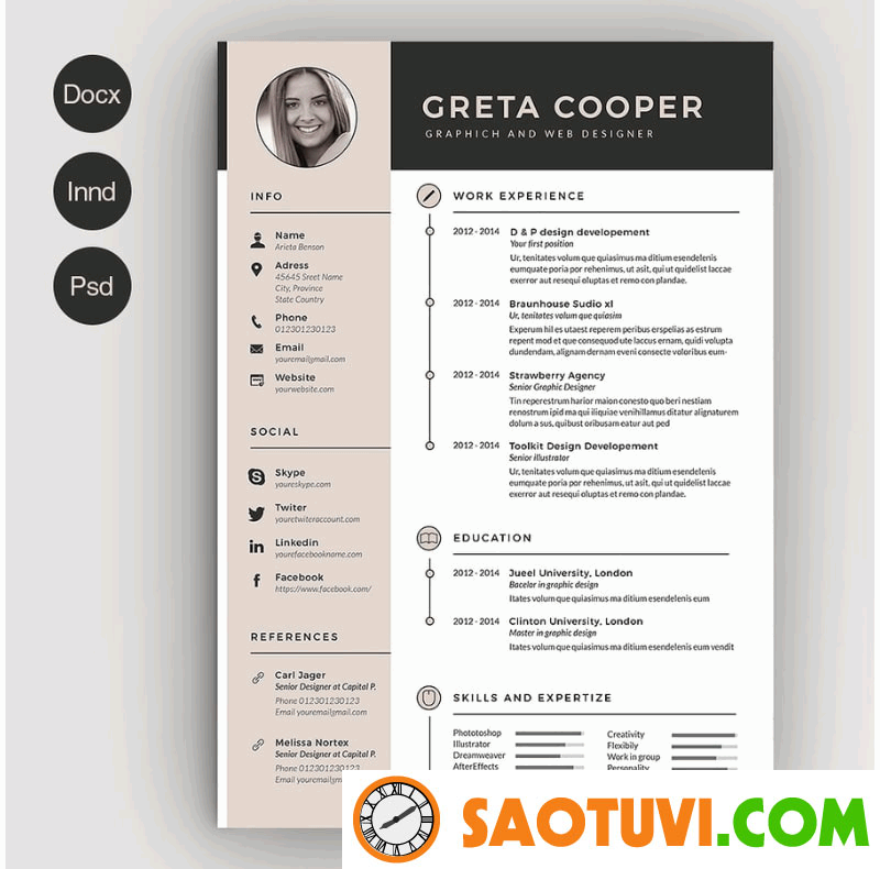 CV developer CV developer