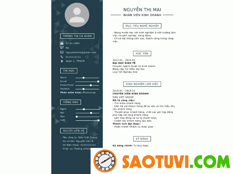 CV developer CV developer